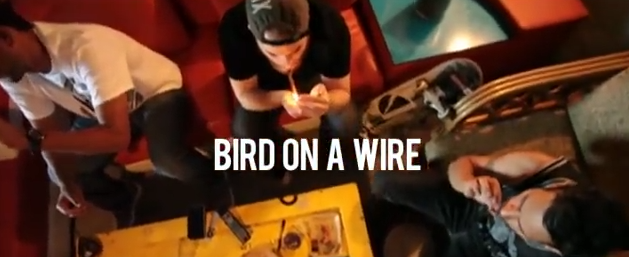 [Video] "Bird On A Wire 2.0" - Solo For Dolo