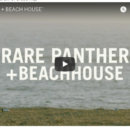 Duckwrth - "Rare Panther+Beachhouse" Video