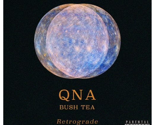 QNA - "Retrograde" feat. Bush Tea