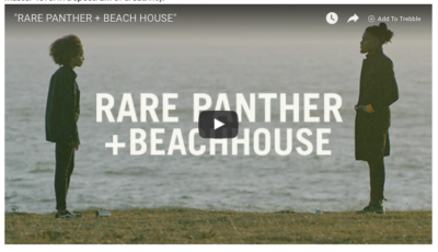 Duckwrth - "Rare Panther+Beachhouse" Video
